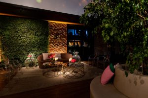 Elegant hotel foyer featuring greenery, stylish seating, and ambient lighting for a luxurious atmosphere. — 5 Have To Know Ca