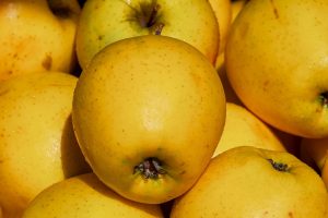 Apples, golden delicious, fruit — A Guide on Growing Tomatoes Like A Pro