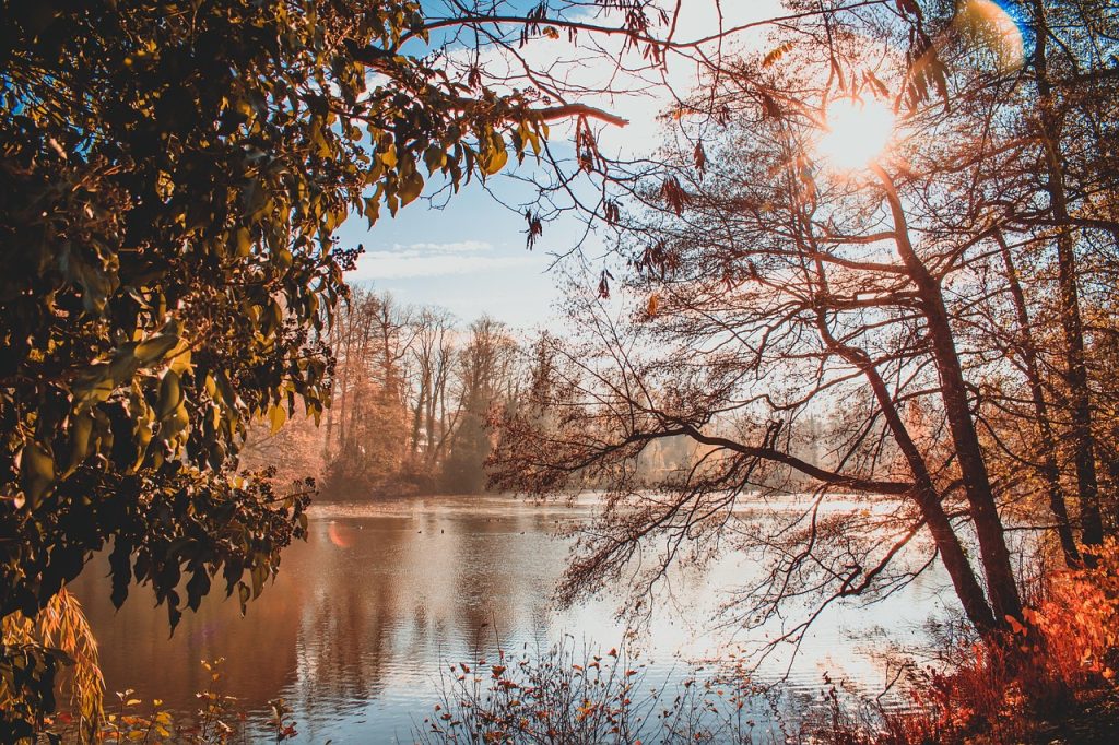 Pond, park, sun — Building an ADU - The Pros and Cons