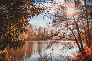 Pond, park, sun — Building an ADU - The Pros and Cons