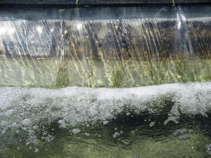 Fountain, water, pool of water — Get Professional Quality and Cost-Effective Services with White Label Facebook Ads Solutions