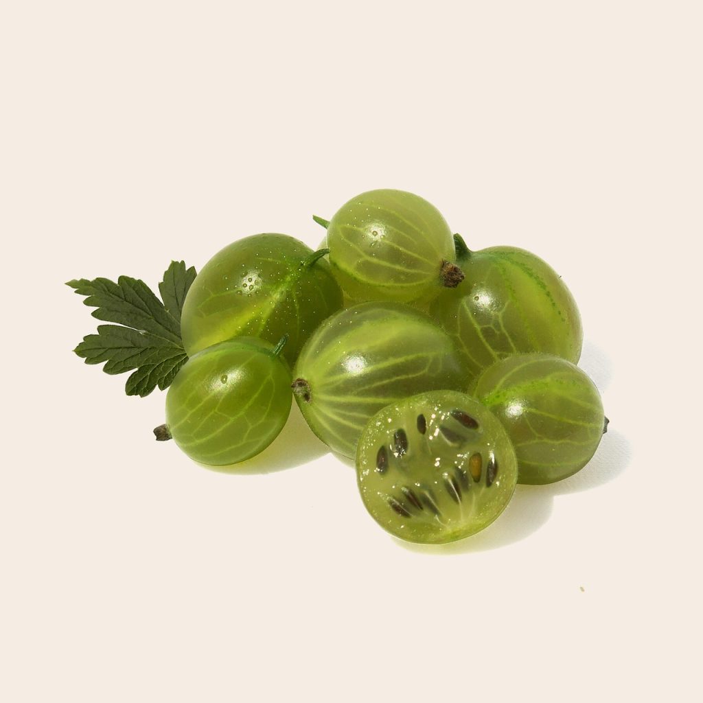 Gooseberry, fruit, health — Medicare Advantage 2025: New Frontiers in Patient-Centered Care