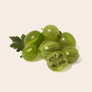 Gooseberry, fruit, health — Medicare Advantage 2025: New Frontiers in Patient-Centered Care