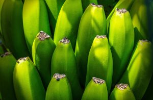 Banana tree, fruit, nourishment — Mental Health Treatment Near Me Delivered by Licensed Mental Health Professionals