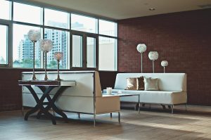 Apartment, living room, couch — Offering the Best-Quality, Reliable, and Durable Kitchen Renovation Cambridge Services