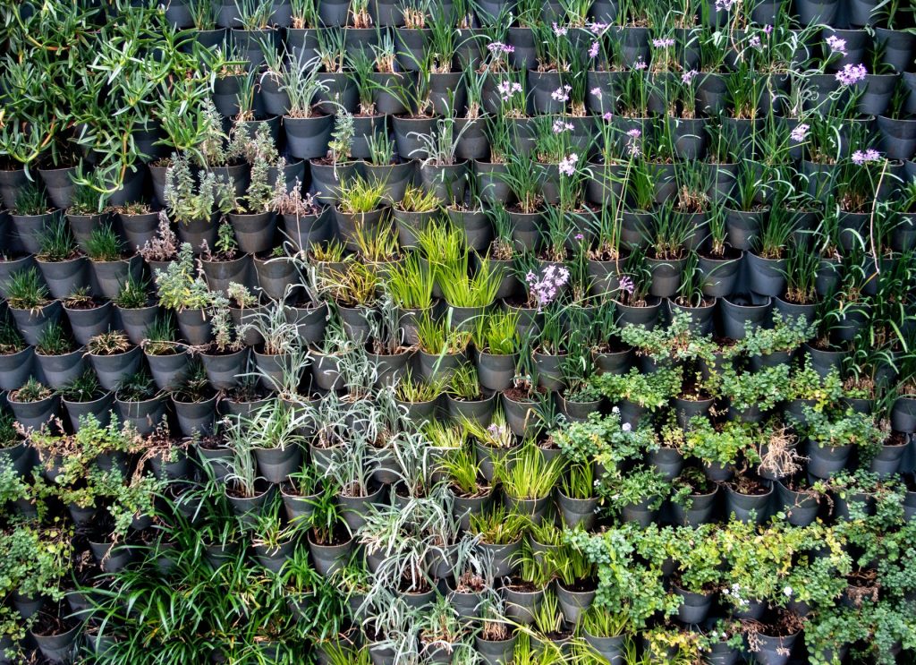 A vibrant vertical garden showcasing diverse plant species in black pots, depicting modern horticulture. — Plumber in London