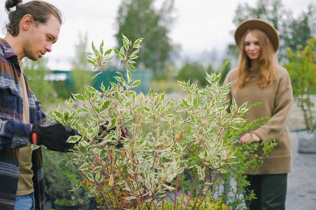 Young positive gardeners in casual wear tending plants while working together in abundant garden in daylight — Selecting the