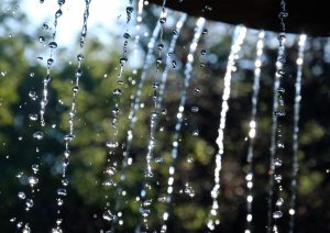 Fountain, beam, nature — The Use of Sniper Guns in Hunting