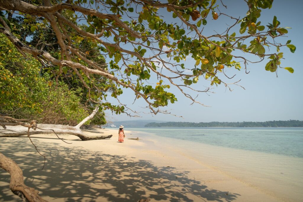 Andaman Nicobar LG appointment