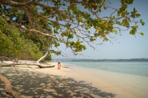 Andaman Nicobar LG appointment