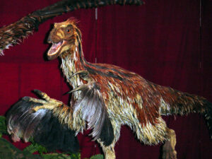feathered dinosaur flight